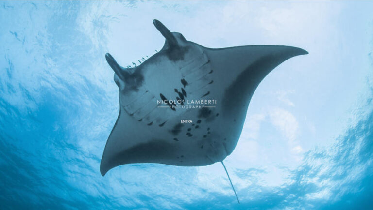 realizzazione sito per un fotografo professionale